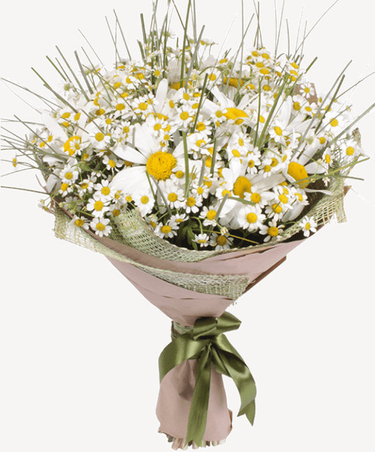 из ромашек и зелени Букет «Лес»